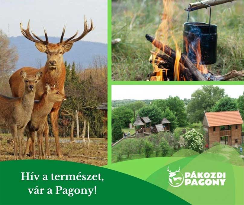 Pákozdi Pagony